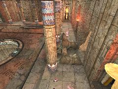 DM-IDOLWORSHIP2