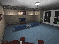 DM-BasementDD