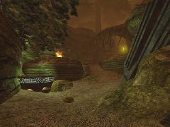 DM-1on1-UndergrowthECE