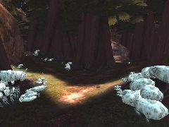 CTF-Sempervirens
