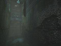 DM-Fetid Sewers