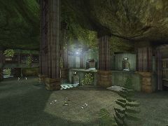 CTF-Botanical