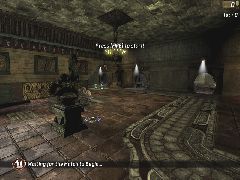 DM-Damage2