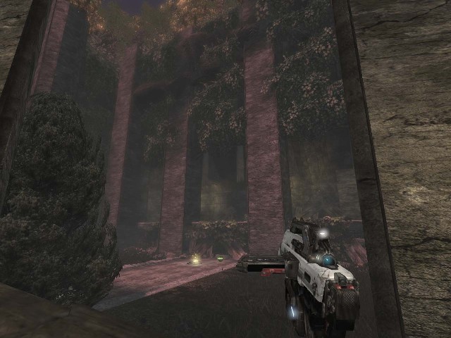 DM-LTC_Olden