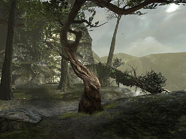 DM-OriensForest