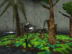 DM-Arbor