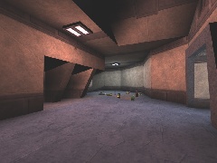 DM-Arctica Reactor