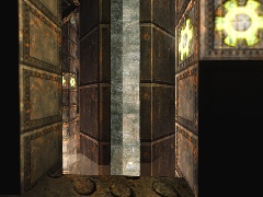 DM-5floors