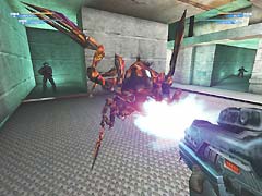 DM-SpiderXL