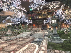 DM-Shaolin