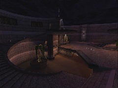 DM-1on1-Spirillum