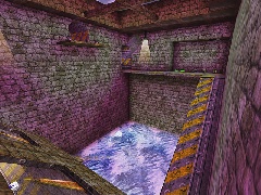 DM-Asylum