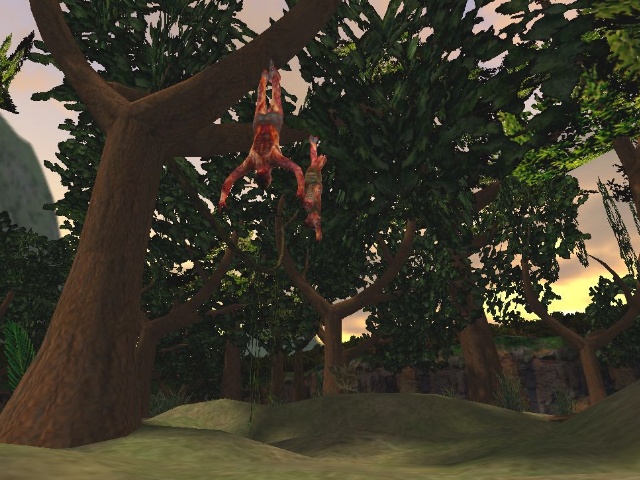 Jungle