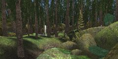DM-ForestDream