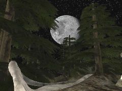DM-MoonValley