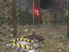 CTF-Forest
