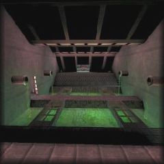 DM-BioFear