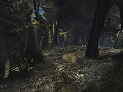 DM-Betrayer