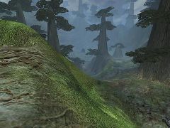 DeepJungle