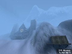 DM-Niveus